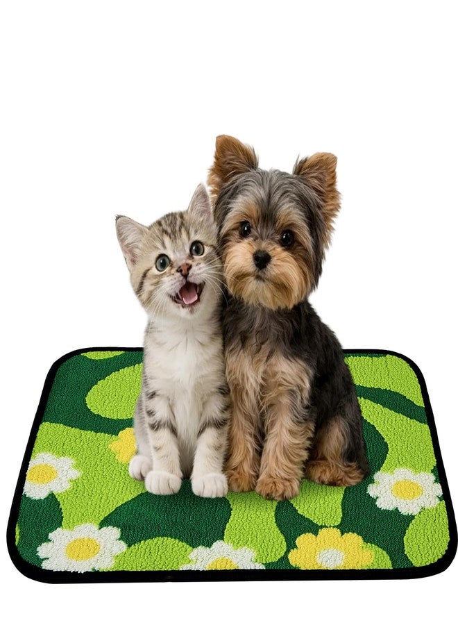 Qeils Reusable Puppy Pads for Small Dogs, Washable Pee Pads with Non-Slip , Absorbent Leakproof Mat for Crates, Playpens, Pet Beds & Whelping, Indoor Potty Training Grass Green, 18"x24", 2 Pack - Image 1